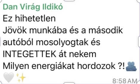 Dan Virág Ildikó visszajelzése
